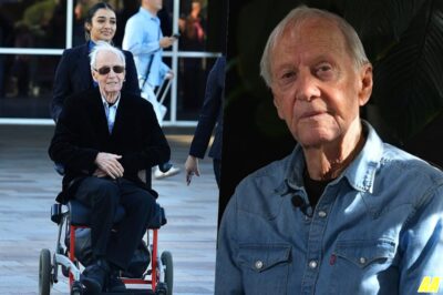 🤯 SHOCKING! Paul Hogan Reveals REAL Reason for Wheelchair – A Heartbreaking Update! 😲