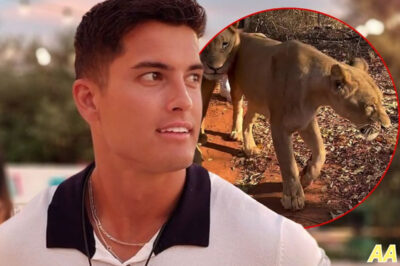 You Won’t BELIEVE What This MAFS Star Did With Lions After Woman Loses Arm