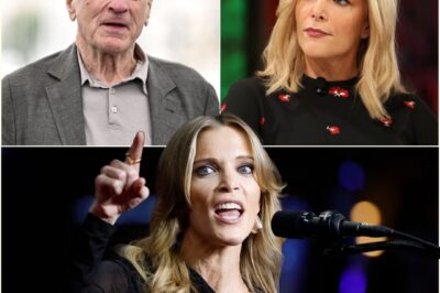 De Niro’s 8 BRUTAL Words to Megyn Kelly Had Everyone GASPING — She Couldn’t Even Respond