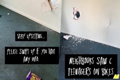 Shocking Attack! Aussie Reality Star’s Home Vandalized with Chilling Graffiti — Star Issues Desperate Plea
