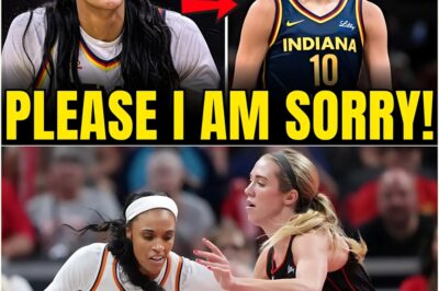 DeWanna Bonner’s Shocking Insult: Instant Regret as Calling Lexie Hull a Bum Costs Team $20 Million! Delve into the scandal that erupted and the severe financial impact on the Fever after Bonner’s comment.