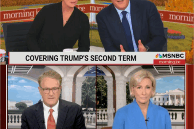 “Morning Joe Pulled Without Warning — Viewers Demand Answers as MSNBC Shake-Up Rumors Explode!”