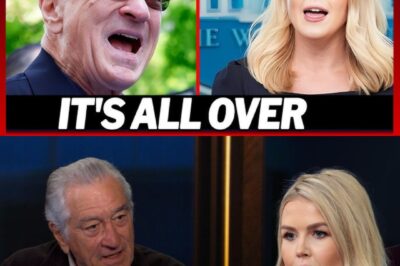 BREAKING: Robert De Niro Turns the Tables on Karoline Leavitt in Explosive On-Air Moment — “YOU WORK FOR ONE.”