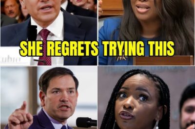 Marco Rubio’s Explosive Confrontation with Jasmine: A Tense Moment That Shook the Room and Ended with a Brutal Comeback