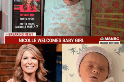 SURPRISING REVEAL: MSNBC’s Nicolle Wallace Goes Public About 2-Year-Old Daughter’s UNCANNY Talents—Fans Speculate She May Be A CHILD PRODIGY