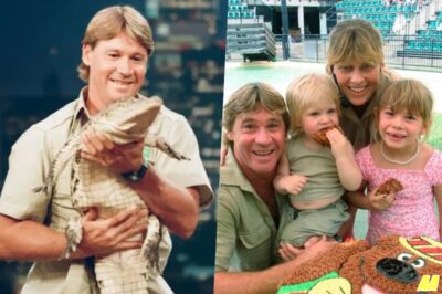 Inside the Final Moments: The Stingray Attack That Shocked the World and Ended Steve Irwin’s Legacy!