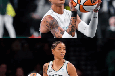NATASHA CLOUD SOUNDS ALARM: “WNBA’S FIGHTING SPIRIT IS FADING!” Star Guard Drops Bombshell Warning — “We Saved Democracy in 2020… But Now We’re Going Silent”