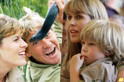HEARTBREAKING & BEAUTIFUL! Robert Irwin Reveals How Terri Helped Him Heal After Losing Steve — “She Was My Rock”