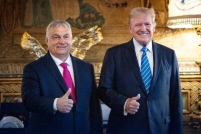 Khi lãnh đạo Mỹ – Hungary ‘cộng sinh’