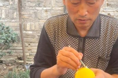 Xếp hàng 10 tiếng để mua “người bột”, mỗi ngày chỉ bán đúng 40 chiếc