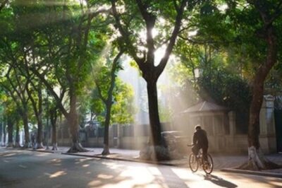 Dự báo thời tiết ngày 12/11: Cả 3 miền có nắng, Hà Nội thấp nhất 19 độ